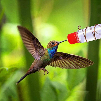 Window Hummingbird Feeder | Geniet van de schoonheid van kolibries dichtbij