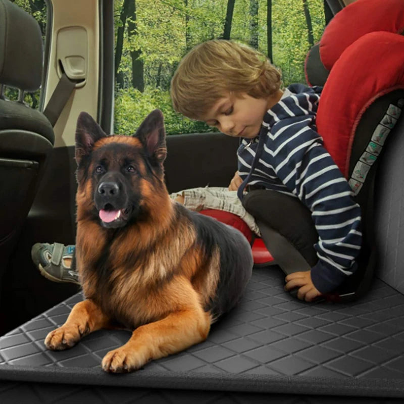 PetCruiser